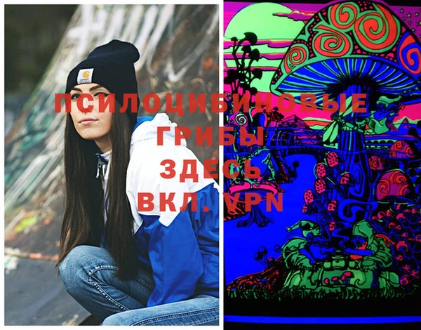 мдпв Касимов