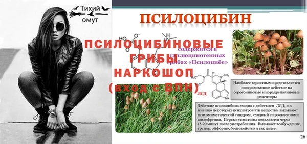ешки Карпинск