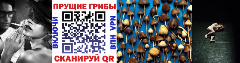 Псилоцибиновые грибы мицелий Купить где Зеленокумск