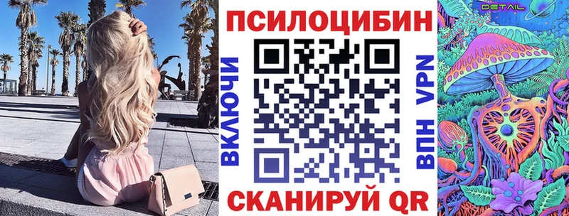Псилоцибиновые грибы Psilocybe Зеленокумск